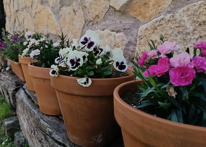 La Casa De Enmedio *